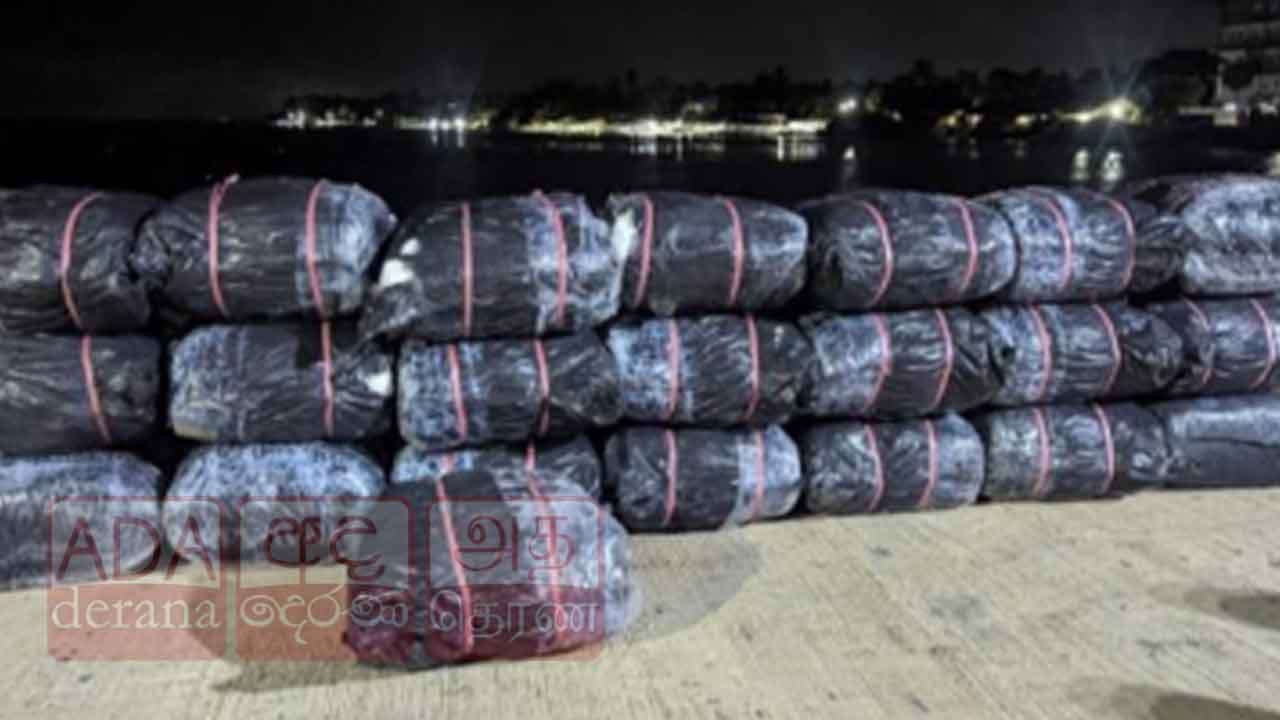 නීතිවිරෝධීව ගෙනා බීඩි කොළ කිලෝග්රෑම් 821ක් සමඟ සැකකරුවන් දෙදෙනෙකු නාවික හමුදා භාරයට