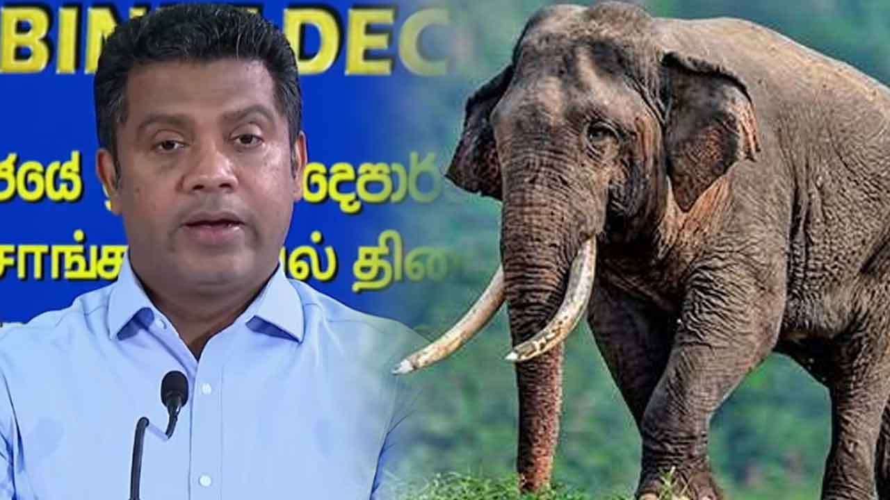 කාවන්තිස්ස ඇතාගේ මරණය ගැන විමර්ශන ප්රගතිය ඇමති නලින්ද කියයි