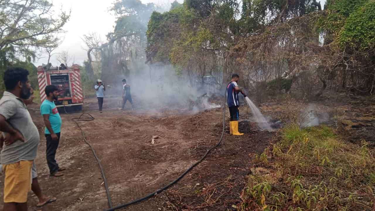 ආනවිලුන්දාව තෙත්බිම් අභය භූමියේ ගින්න පාලනය කෙරේ
