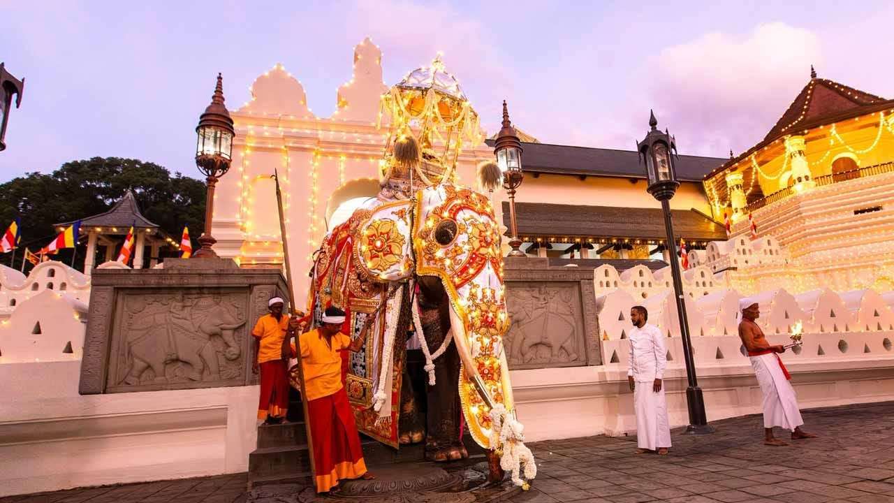 අවසන් කුඹල් පෙරහැර වීථි සංචාරය ආරම්භ කරයි