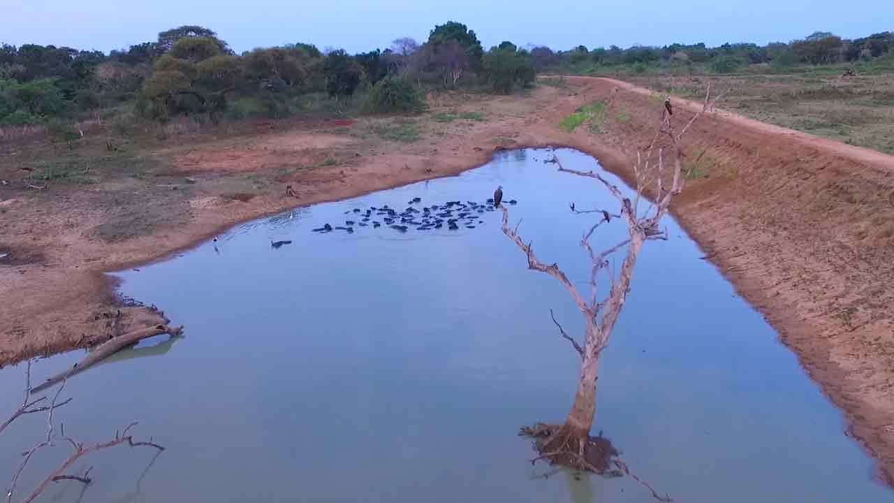 ප්රධාන ජලාශ 74හි ජල ධාරිතාව 36%ක් දක්වා පහළට