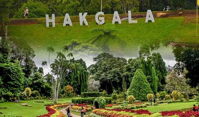 හක්ගල උද්භිද උද්යානය ආශ්රිතව නව සංවර්ධන ව්යාපෘති රැසක්