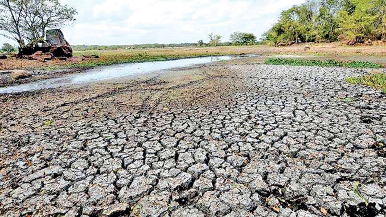 වියළි කාලගුණයෙන් පුද්ගලයින් 115,586 දෙනෙකුට පීඩා