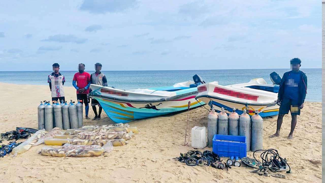 නීතිවිරෝධී ලෙස මුහුදු කූඩැල්ලන් ඇල්ලූ සැකකරුවන් 7ක් නීතියේ රැහැනට