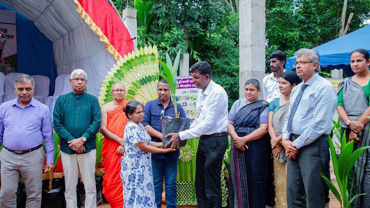 ජාතික තැඹිලි ගම්මාන 250ක් ස්ථාපිත කිරීමේ ව්යාපෘතියේ බදුල්ල දිස්ත්රික් වැඩසටහන ඇරඹේ