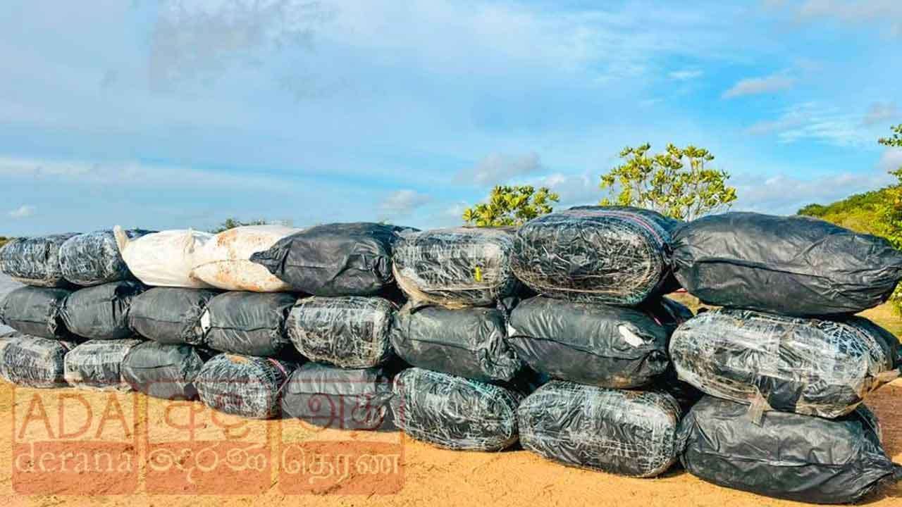 නීතිවිරෝධීව ගෙනා බීඩි කොළ තොගයක් නාවික හමුදා භාරයට