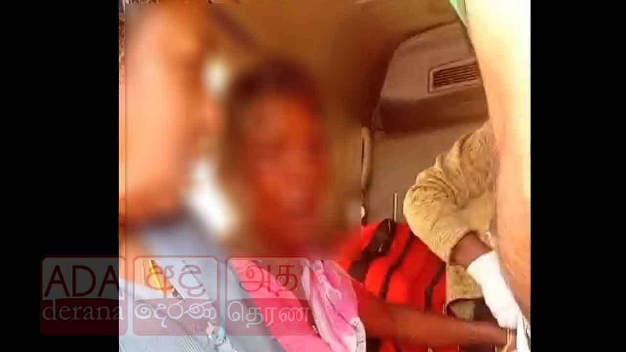 තේ දළු නෙළමින් සිටි කාන්තාවකට බඹර ප්රහාරයක් - බරපතළ තුවාල