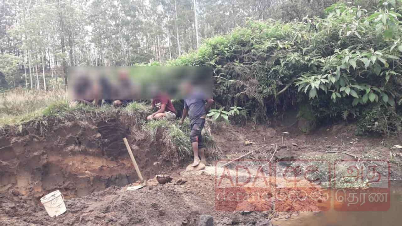 රක්ෂිතයක අනවසර මැණික් ගැරූ පස් දෙනෙකුට වැඩ වරදී