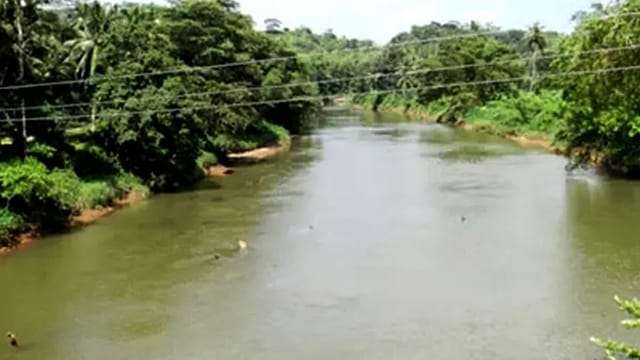 ගිං ගඟ ද්රෝණියේ ධාරා ප්රදේශවලට තද වැසි - පහත්බිම්වලට සුළු ගංවතුර අවදානමක්