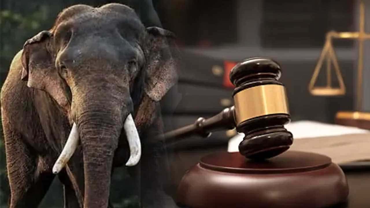 කාවන්තිස්සට වෙඩිතැබූ බවට සැකපිට අත්අඩංගුවට ගත් ප්රධාන සැකකරුවන් දෙදෙනා යළි රිමාන්ඩ්