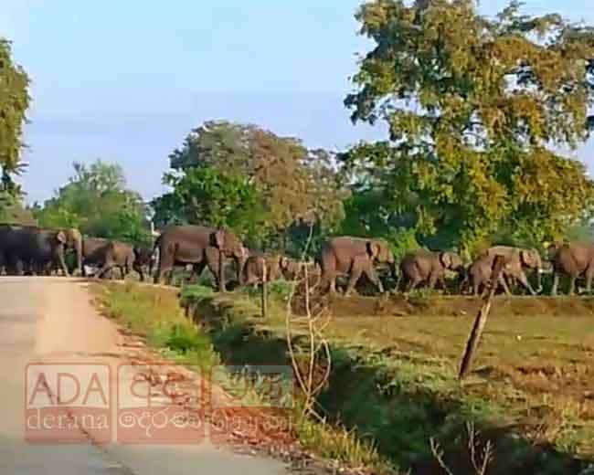 පාර පනින සද්ධන්තයෝ...