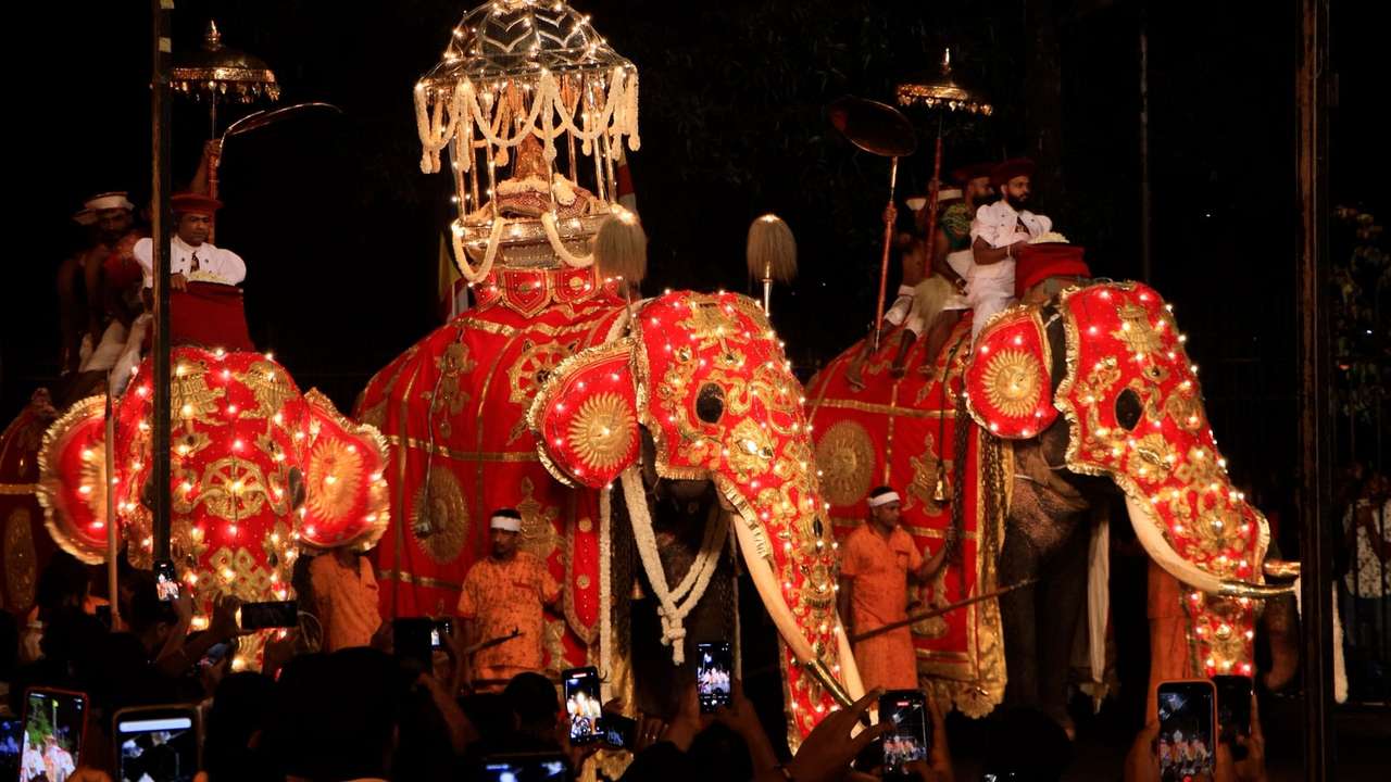 රන්දෝලි පෙරහැර...