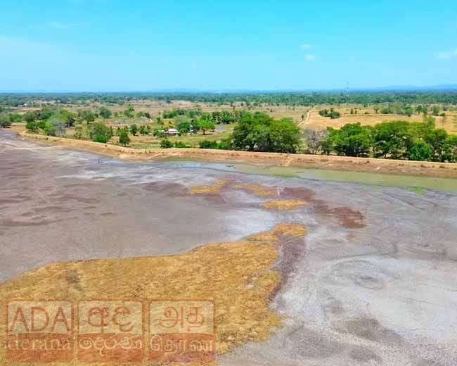 නියඟය...