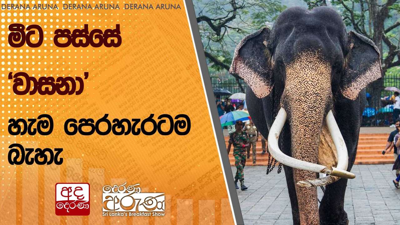 මීට පස්සේ 'වාසනා' හැම පෙරහැරටම බැහැ | Ada Derana