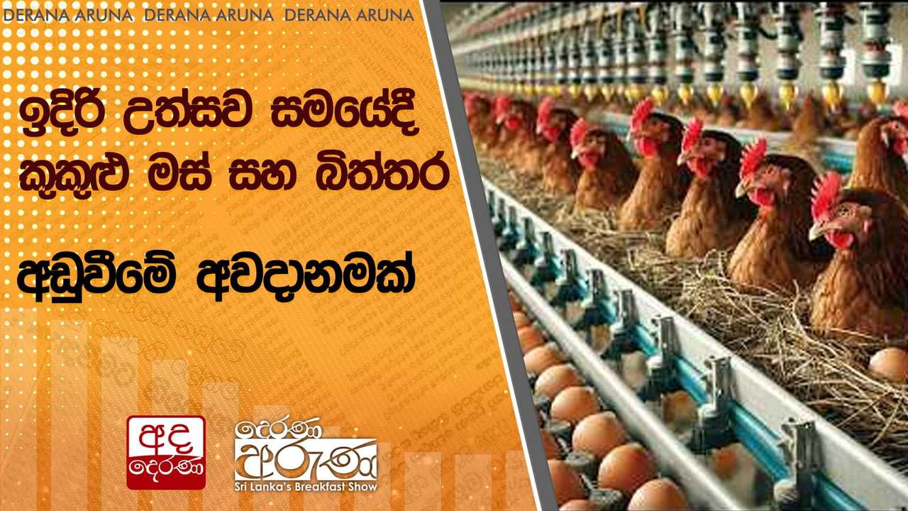 ඉදිරි උත්සව සමයේදී කුකුළු මස් සහ බිත්තර අඩුවීමේ අවදානමක් | Ada Derana