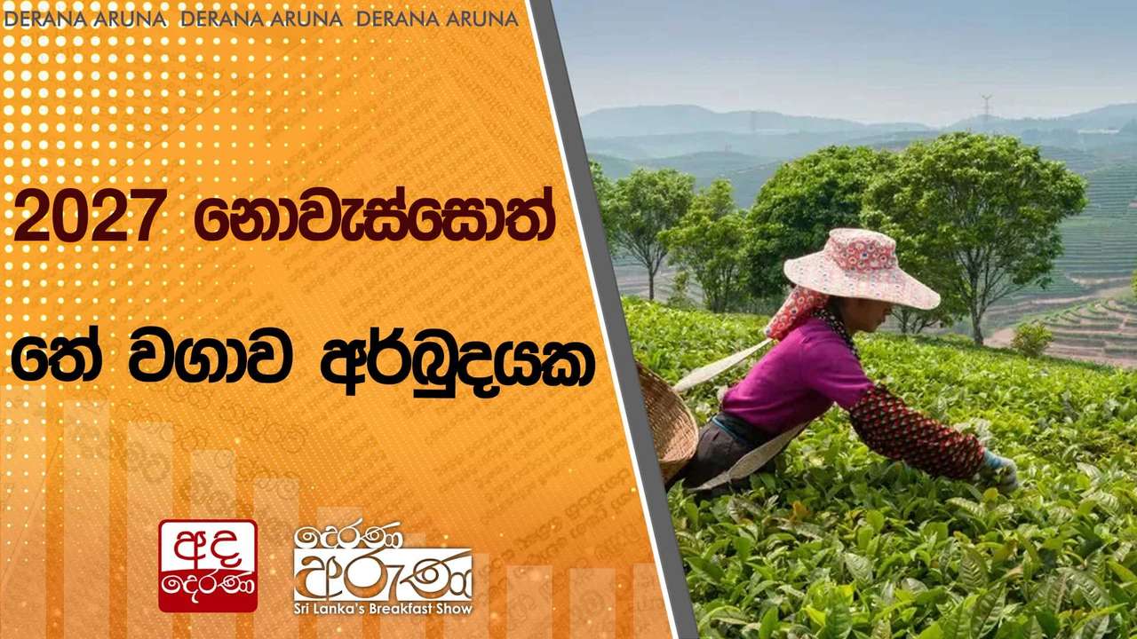 2027 නොවැස්සොත් තේ වගාව අර්බුදයක