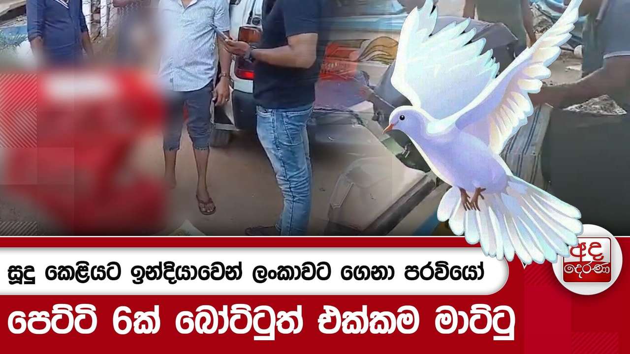 සූදු කෙළියට ඉන්දියාවෙන් ලංකාවට ගෙනා පරවියෝ - පෙට්ටි 6ක් බෝට්ටුත් එක්කම මාට්ටු | Ada Derana
