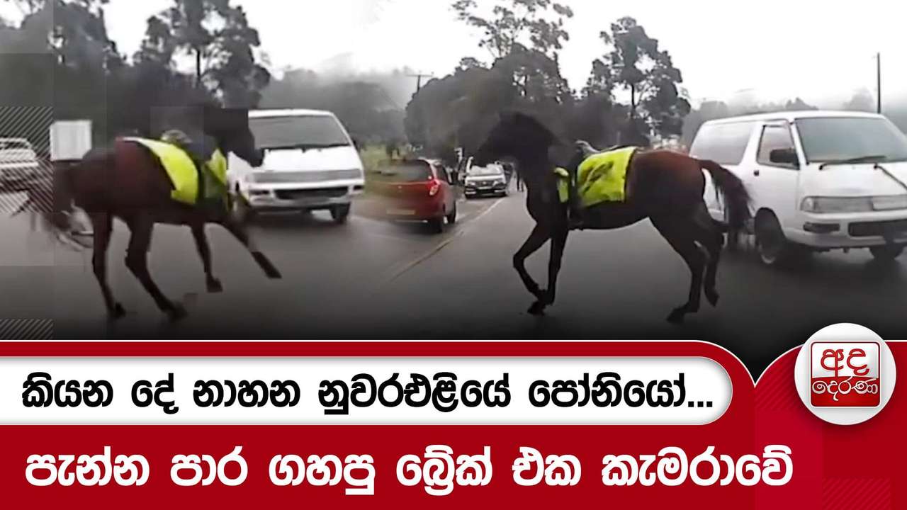 කියන දේ නාහන නුවරඑළියේ පෝනියෝ... පැන්න පාර ගහපු බ්රේක් එක කැමරාවේ