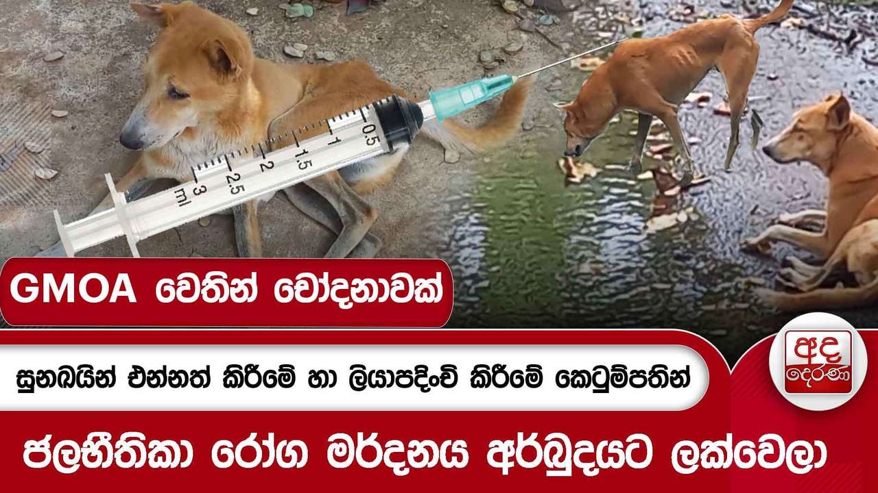 සුනඛයින් එන්නත් කිරීමේ හා ලියාපදිංචි කිරීමේ කෙටුම්පතින් ජලභීතිකා රෝග මර්දනය අර්බුදයට ලක්වෙලා