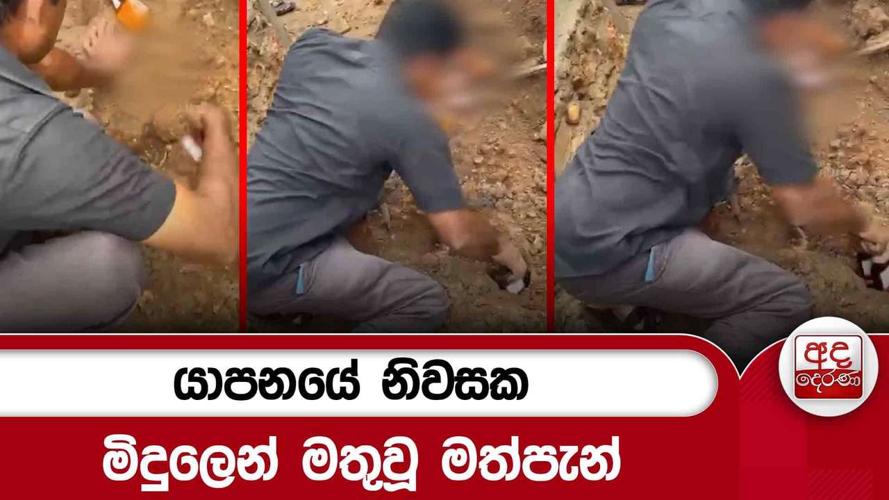 යාපනයේ නිවසක මිදුලෙන් මතුවූ මත්පැන්